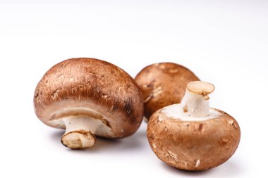 Kraliyet Agaricus (Agaricus bisporus veya Portobello) bir WHI yalan