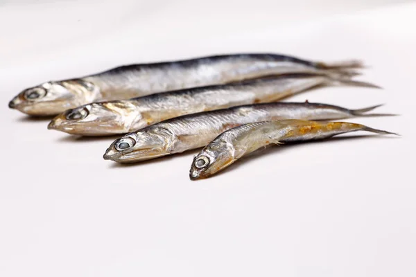 Acciuga dal Mar Nero - piccolo pesce salato che si trova su un bianco — Foto Stock