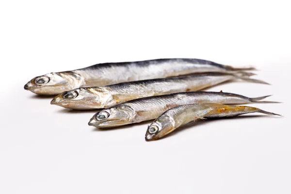 Anchois de la mer Noire - petit poisson salé couché sur un blanc — Photo