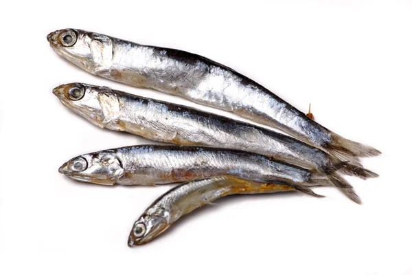 Anchois de la mer Noire - petit poisson salé couché sur un blanc — Photo