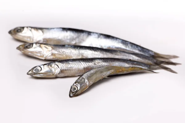 Ansjovis uit de Zwarte Zee - gezouten kleine vis, liggend op een wit — Stockfoto