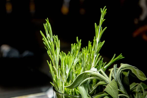 Branch of rosemary and a little sage are in the glass. — Stock Photo, Image