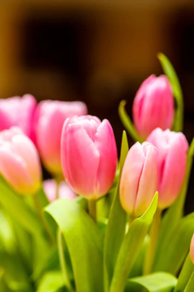 Close-up . Pink tulips are in the vase. — Stock Photo, Image