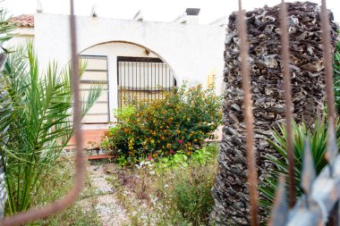 Çalılar, çiçekler ve palmiye ağaçları ile terk edilmiş Bahçe. Eski ev.