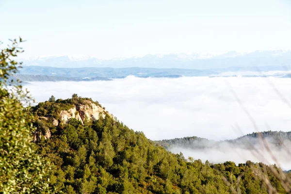 Clouds in the mountains lit by the sun. The view from the top.