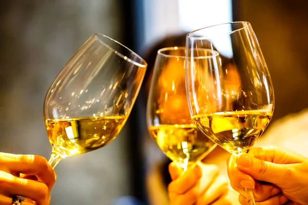 Trois filles avec des verres avec du vin blanc pour célébrer les holida — Photo