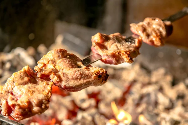 Shish kebab arrosto sopra i carboni rossi sulla griglia, barbecue . — Foto Stock