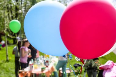 Orman yeşil, Barbekü, piknik bir arka plan üzerinde renkli balonlar