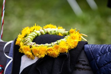 Çelenk bankların üzerinde yalan sarı dandelions piknik