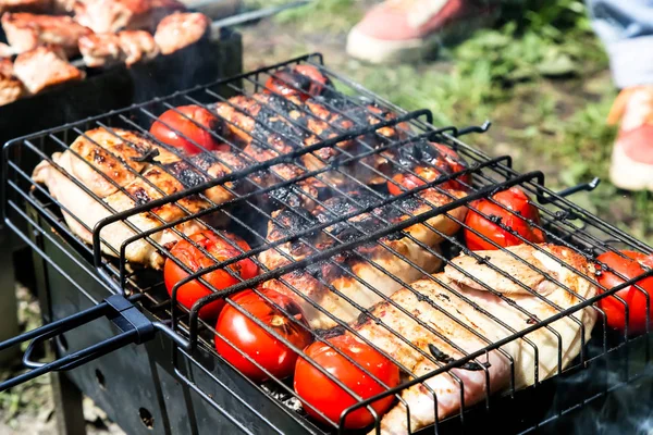 Frango com tomate assado na grelha, churrasco, piquenique — Fotografia de Stock
