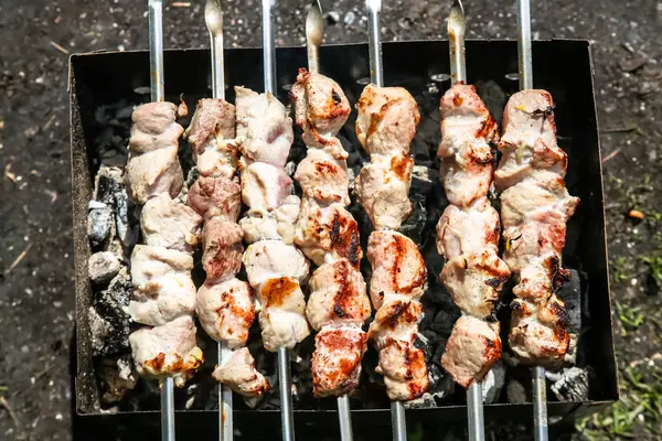 Grilovaný vepřový špíz pečený na grilu, grilování, piknik — Stock fotografie