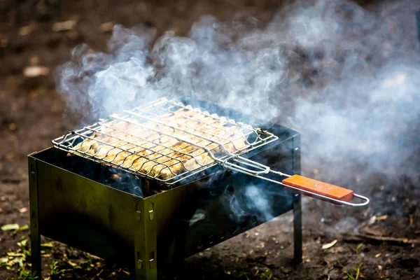 Espetos de frango ou carne fritos em um churrasco na grelha, bar — Fotografia de Stock