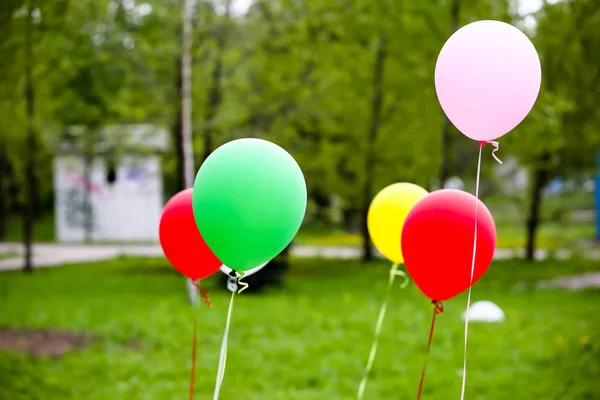 Colored balloons on a background of forest green, BBQ, picnic — Stock Photo, Image