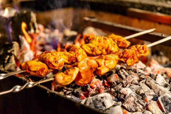 Pieces of chicken ( wings and thighs) fried on the grill. — Stock Photo, Image