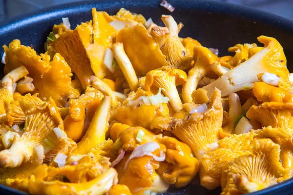 Yemek pişirmek için hazırlanan taze Cantharellus cibarius mantar.