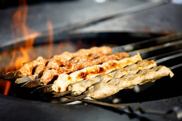 Eastern dish of meat kebab cooked on the skewer over the fire in