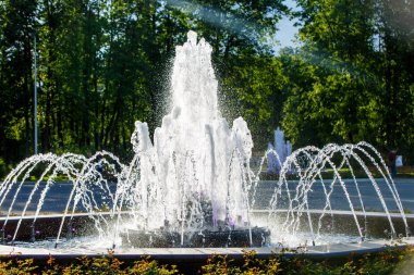 City Park, renkli Çeşme yaz akşamları parlayan.