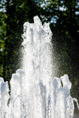 City Park, renkli Çeşme yaz akşamları parlayan.