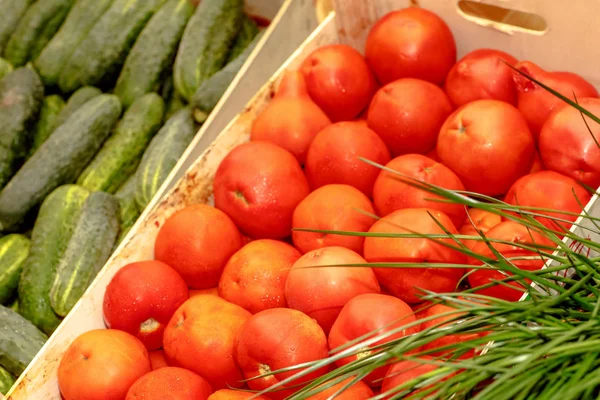 Tomates, concombres et oignons verts sont dans une boîte en bois . — Photo