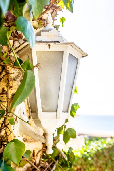 White lantern on a brick wall braided greenery. — Stock Photo, Image