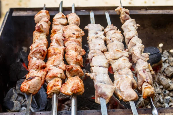 Kebab, steak, kuře pečené na gril na dřevěné uhlí — Stock fotografie