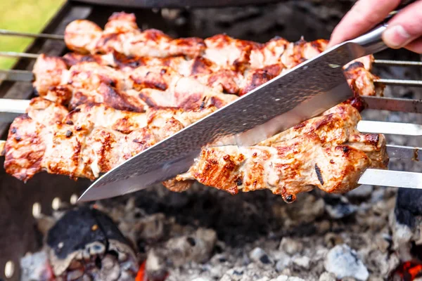 Kebab, bife, frango assado em grelhador de carvão — Fotografia de Stock