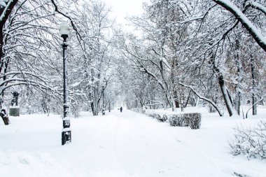 Sabah parkta ağır gece kar yağışı sonra tüm kablosuz kapalı