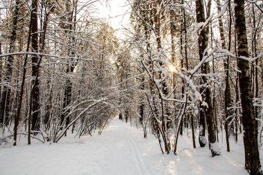 Sabah parkta ağır gece kar yağışı sonra tüm kablosuz kapalı