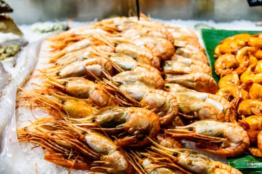 Penceredeki buzda farklı karides yalan.