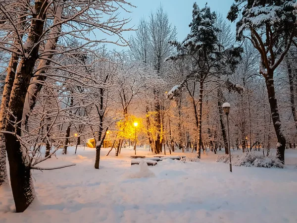 Manhã no Parque depois de uma noite de neve pesada, tudo coberto wi — Fotografia de Stock