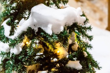 Noel ağacı karla kaplı sokakta duruyor.