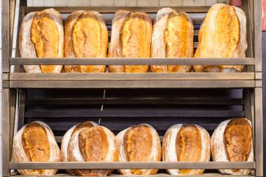 Taze ev yapımı ekmek (çavdar ve buğday) dilimleri masaya yalan.