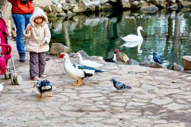Yalta, Kırım, Ukrayna, 30 Aralık 2019. Parktaki bir çocuk güvercinleri ve ördekleri besliyor..