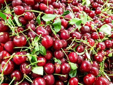 Meyve dükkanının tezgahında bir sürü kiraz var..