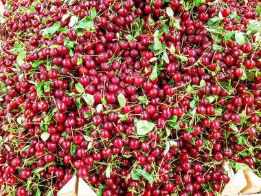 Meyve dükkanının tezgahında bir sürü kiraz var..