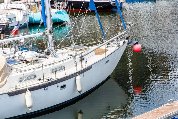 Mås Flyger Över Havets Strand Mot Den Blå Himlen — Stockfoto