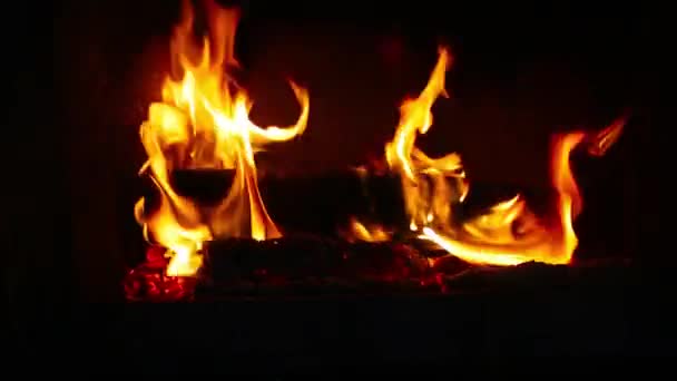 Madera de abedul se quema en la chimenea — Vídeo de stock