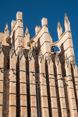 Palma de Mallorca Katedrali İspanya