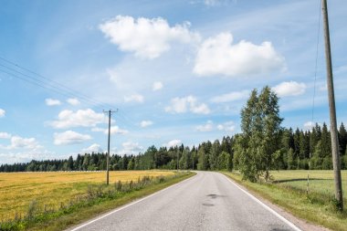 Güneşli bir günde yol