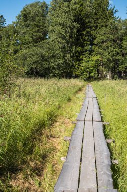 Duckboards küçük bir ada için