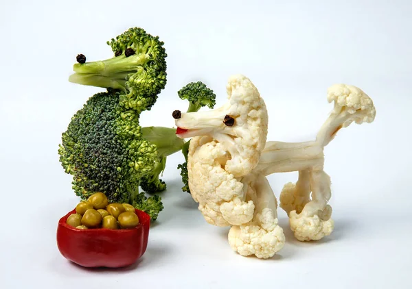 Poodle of cauliflower — Stock Photo, Image