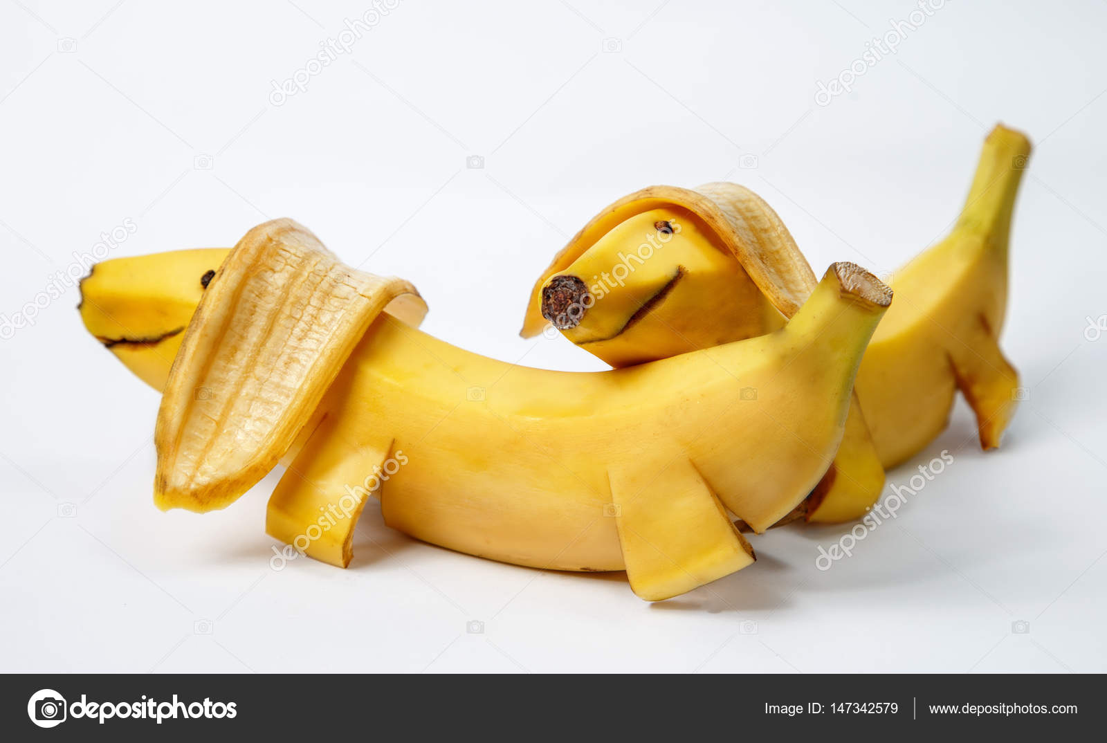 Are Bananas Good For The Dachshund