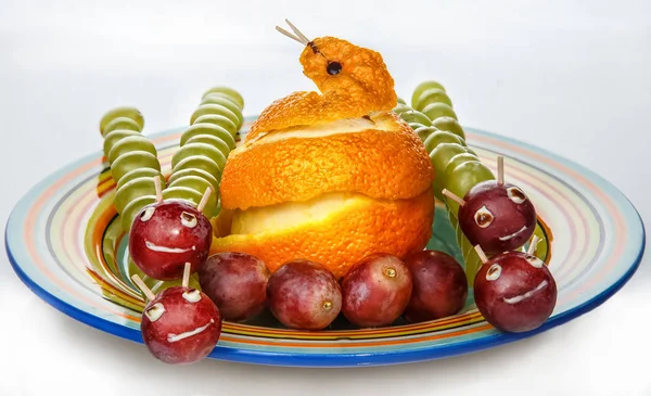 Owoc rodzina gadów — Zdjęcie stockowe