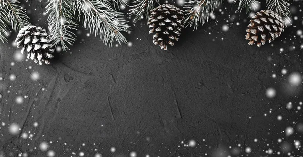 Xmas Theme Fir Branches Evergreen Pines Snowy Black Stone Background — Stock Photo, Image