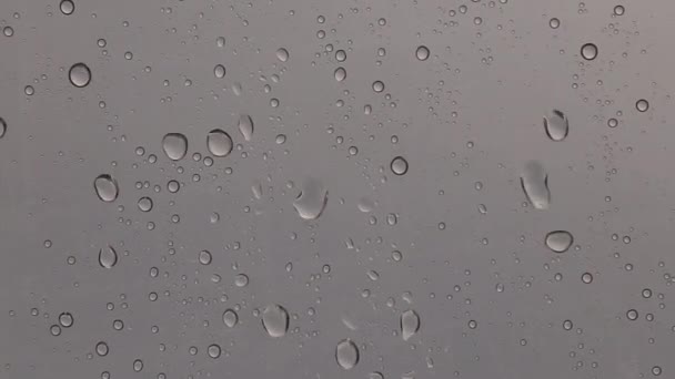 Gouttes de pluie glissent sur le verre . — Video