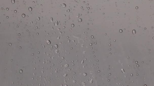 Las gotas de lluvia se deslizan sobre el vidrio . — Vídeos de Stock