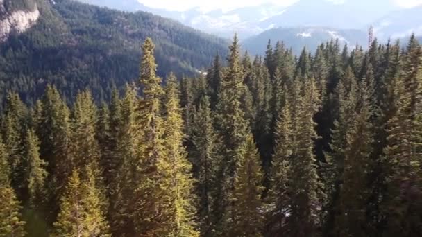 Raios Sol Brilhar Nas Montanhas Vista Das Montanhas Das Árvores — Vídeo de Stock