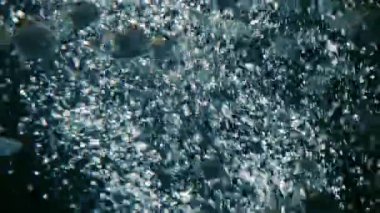 Birçok balık suda kaotik biçimde yüzer. Yavaş çekim. 