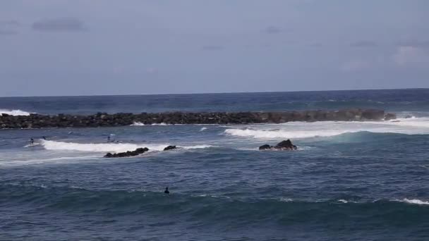 Більше Людей Плавають Дошкою Морських Хвилях Звуки Морських Хвиль Чутно — стокове відео
