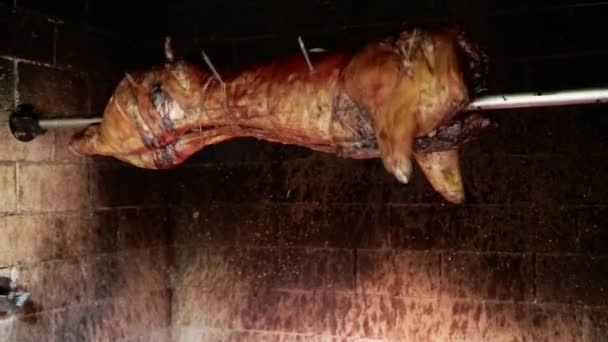 Baking Pig Fire Rotate Pork Skewer — Stock Video